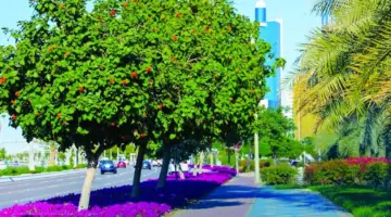 92 جائزة لبلدية أبوظبي خلال 2025 في التفوق المؤسسي والابتكار